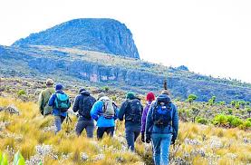 Mt. elgon