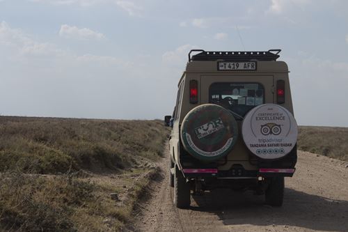 Tanzania luxury safaris