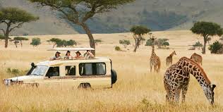 lake manyara safari jeep