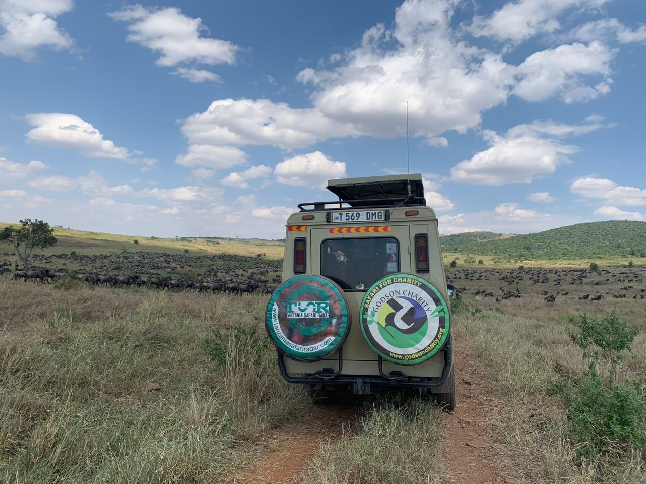  Serengeti Great Migration Safari