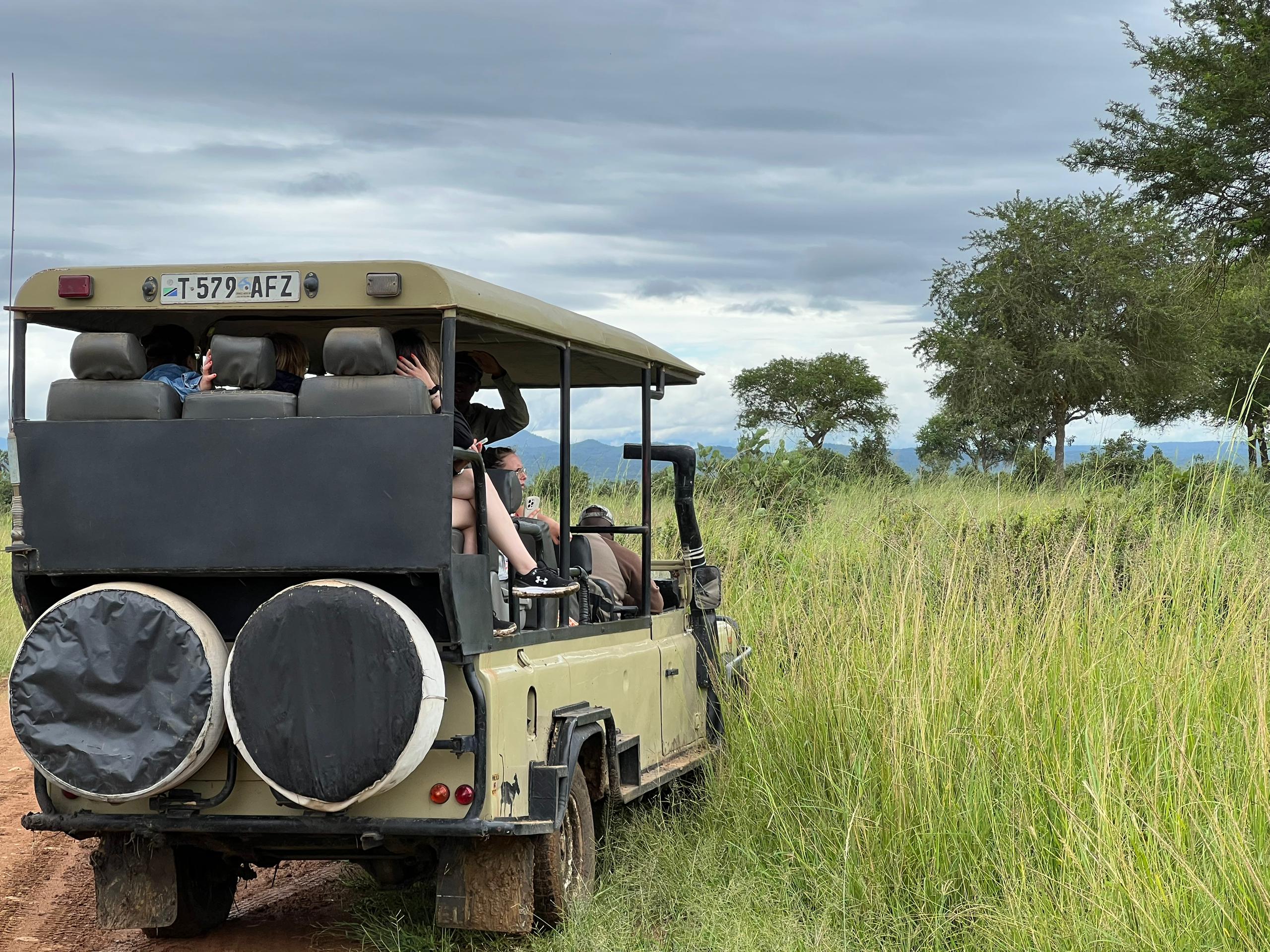 mikumi national park group sharing