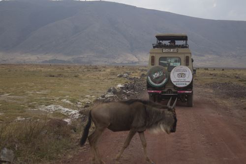 Kenya Hiking safari Tours