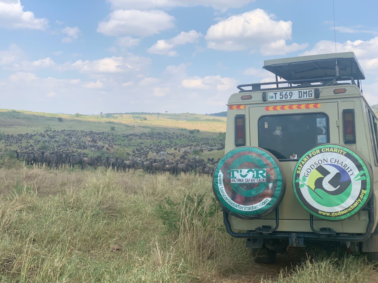 Bird-Watching Safari Tours in Kenya